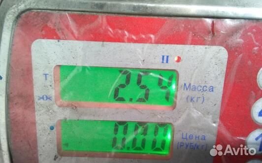 Шкив коленвала демпферный бензиновый nissan murano