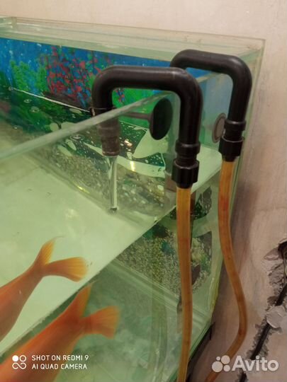 Фильтр для аквариума tetra ex 800