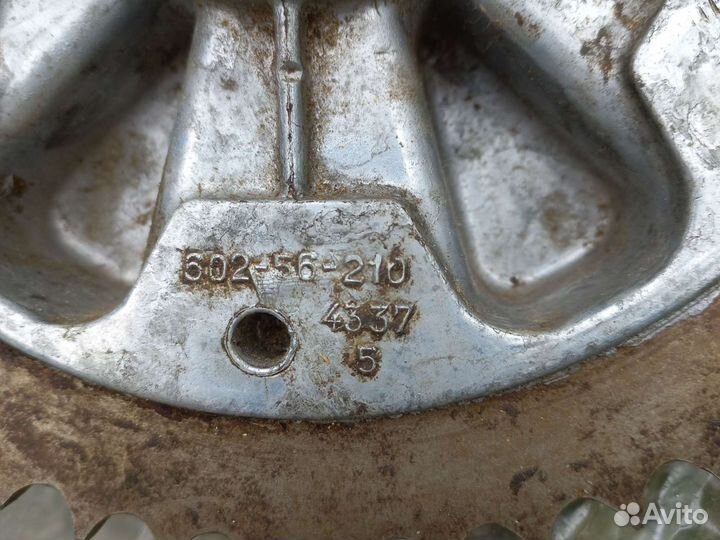 Звездочка ява