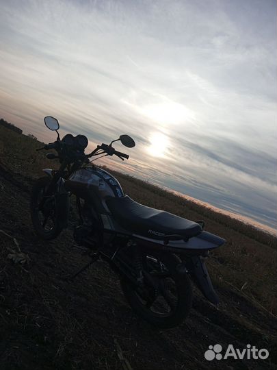 Рейсер тигр