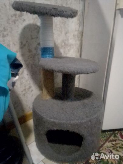 Когтеточка домик для кошки бу
