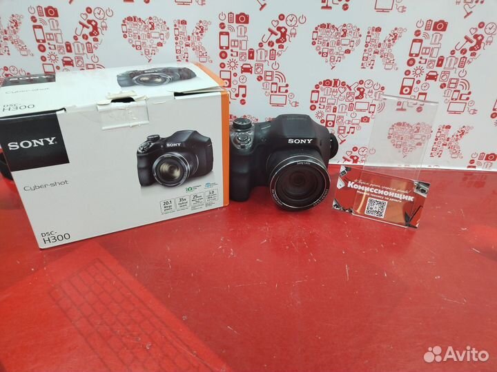 Фотоаппарат Sony Cyber-shot DSC-H300 T08