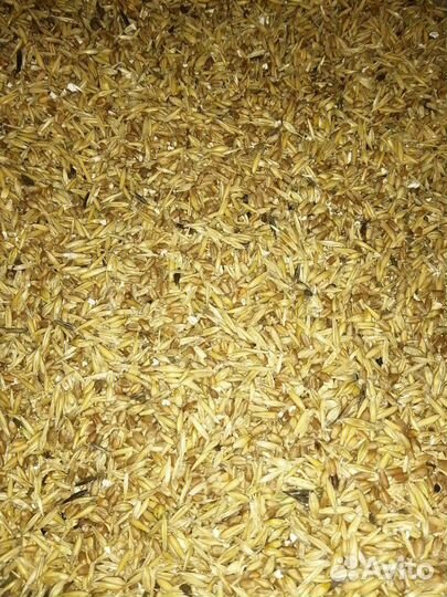 Зерносмесь