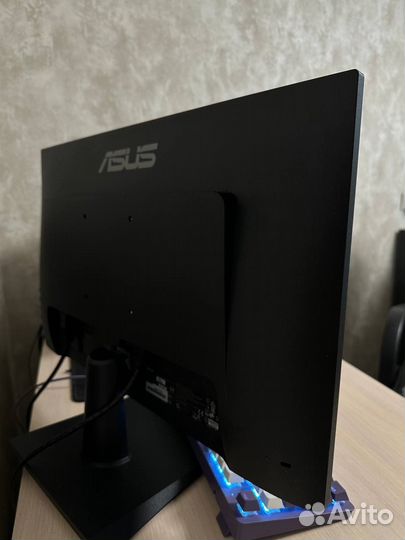 Мониторы Asus