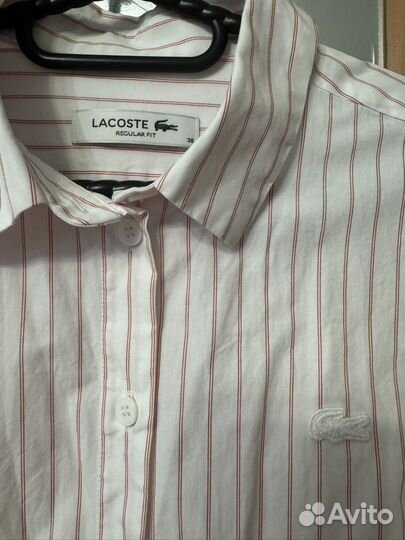 Рубашки женские lacoste и us polo 38 p