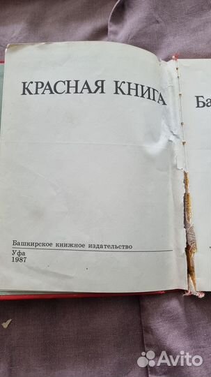 Красная книга Башкирской АССР. Редкие растения и ж