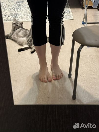 Спортивные штаны adidas укороченные