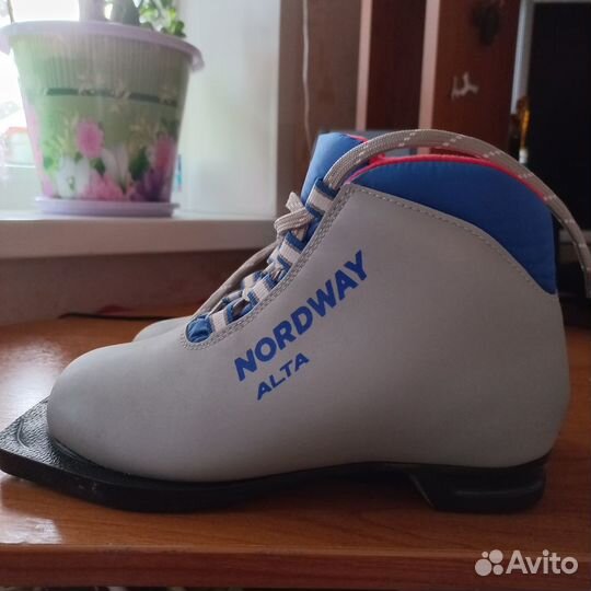 Лыжные ботинки