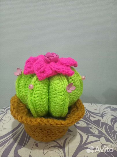 Вязаные кактусы