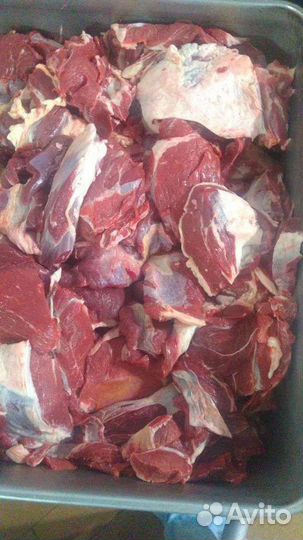 Мясо,говядина безкостная цена от 290