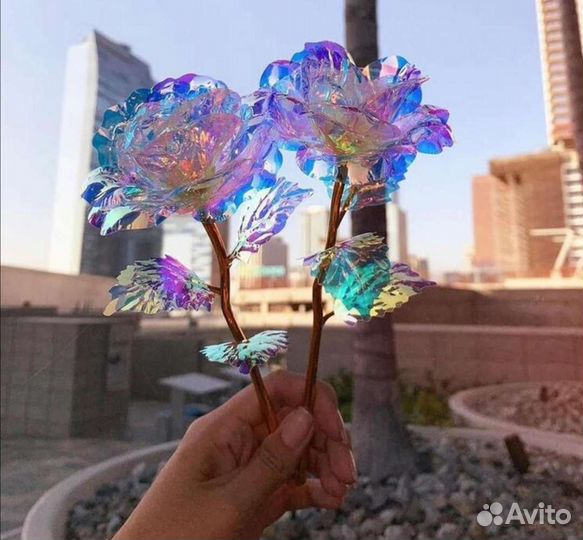 Переливающиеся розы в разный цвет на свету