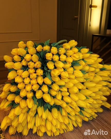 51 тюльпан / 101 тюльпан / букеты