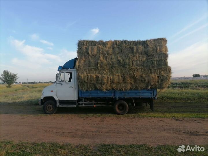 Сено в тюках