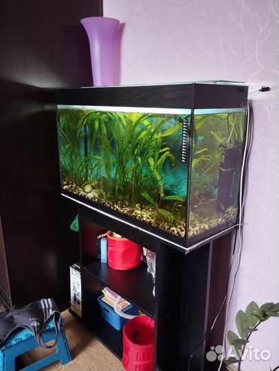 Аквариум 100 литров