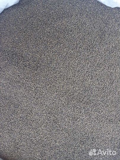 Семена люцерны