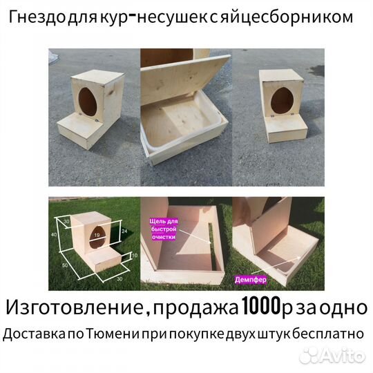 Гнездо для кур-несушек с яйцесборником