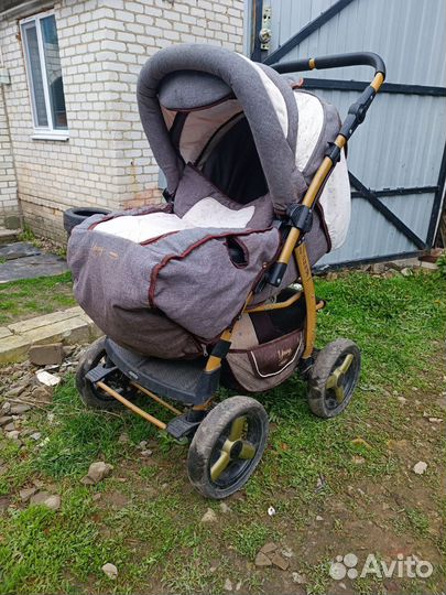 Детская коляска Adamex Young