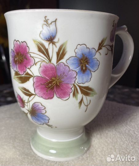 Редкие чайные пары -гиганты СССР