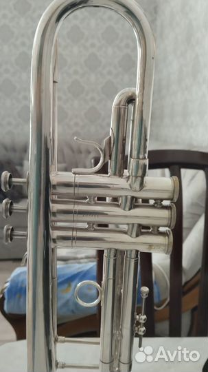 Труба blessing ML-1