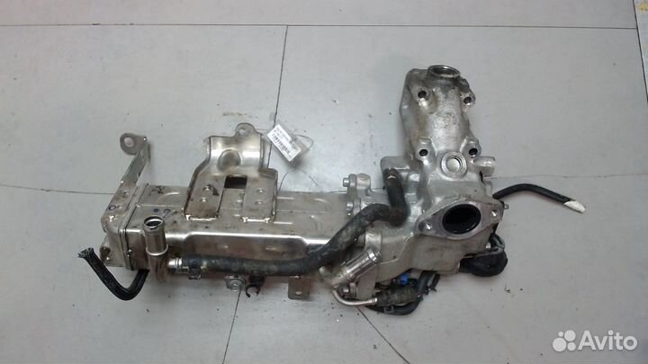 Охладитель отработанных газов Opel Antara, 2013