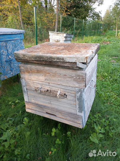 Улей для пчел бу