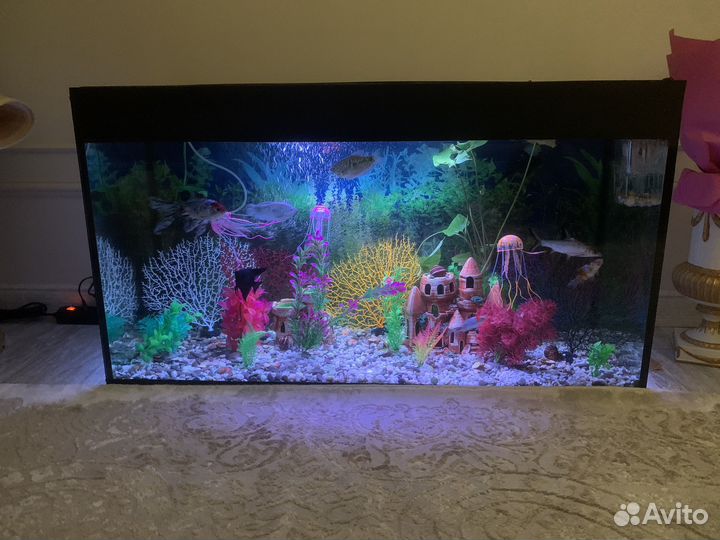Аквариум