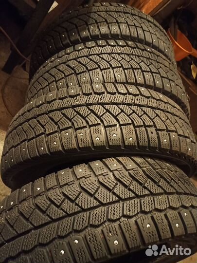 Viatti Bosco Nordico V-523 195/65 R15