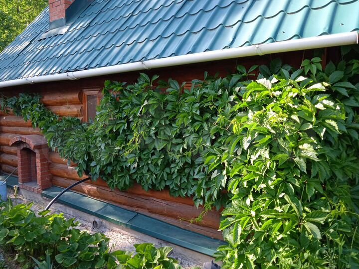 Дача 54 м² на участке 16 сот.