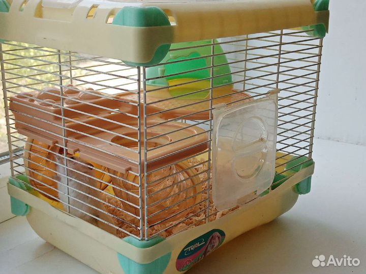 Клетка с хомяком