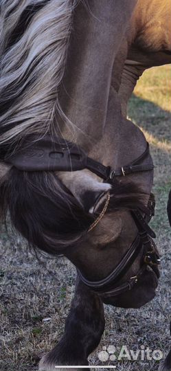 Уздечка (оголовье) euroriding, меховушка под седло