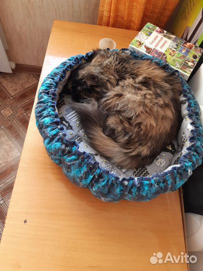 Лежанка для котиков