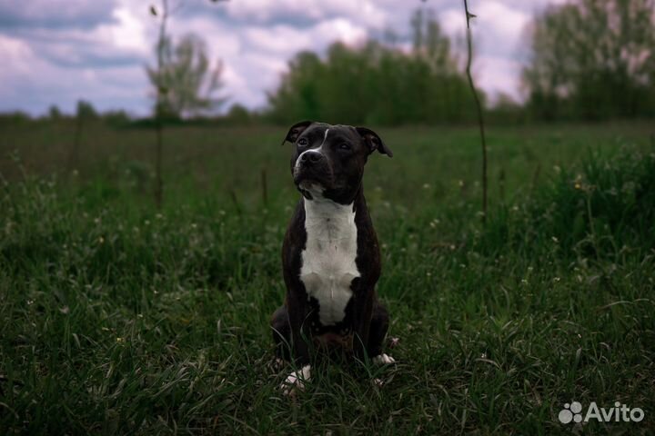 Фотограф на индивидуальные съемки