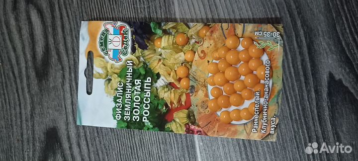 Физалис рассада