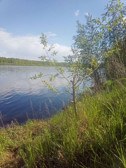 Участок 8,5 сот. (ИЖС)