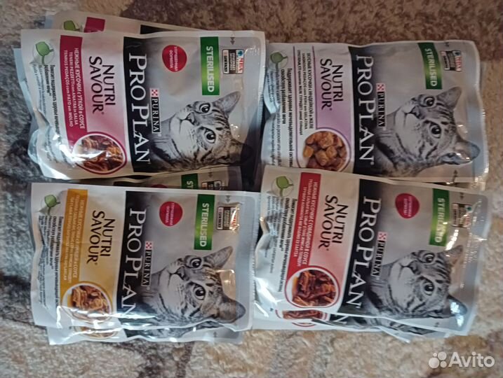 Влажный корм для кошек pro plan