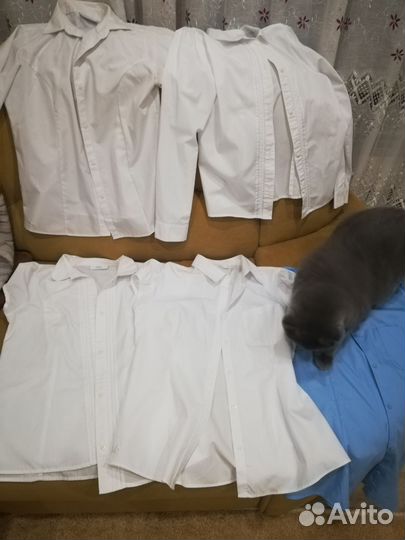 Школьные блузки