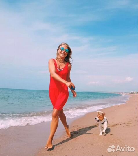 Догситтер передержка собак прогулки с собаками