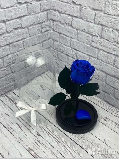 Роза в колбе