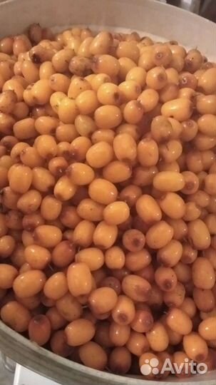 Облепиха черноплодка боярыш. Шиповн