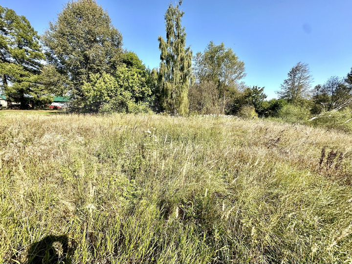 Участок 53 сот. (ИЖС)