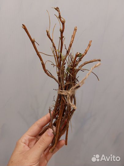 Экотовары для попугаев, грызунов