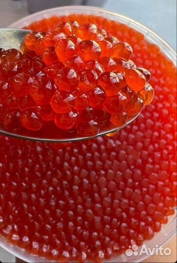 Продам икру 2023