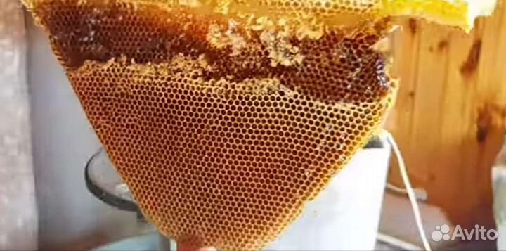 Мëд разнотравье из Беларуси