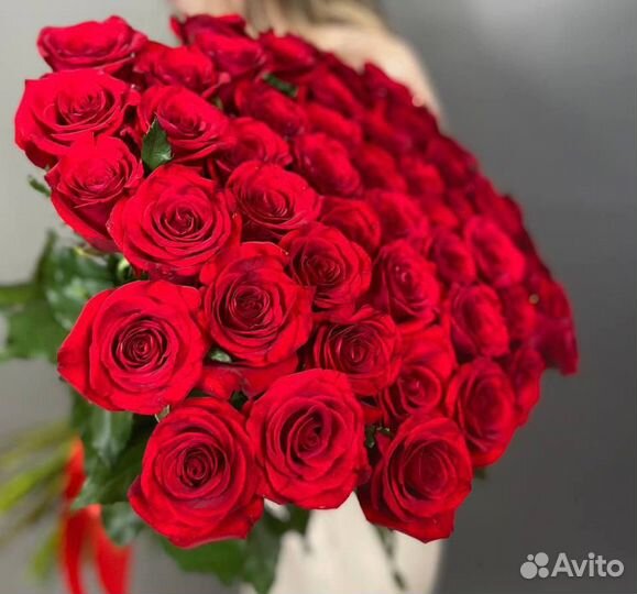 Букет красных роз 15 31 51 101 роза