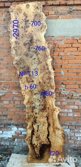 Слэб тополя