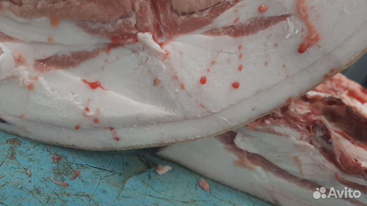 Молодая телятина