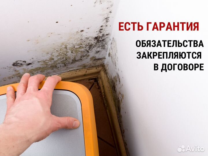 Дератизация. Уничтожение крыс, мышей