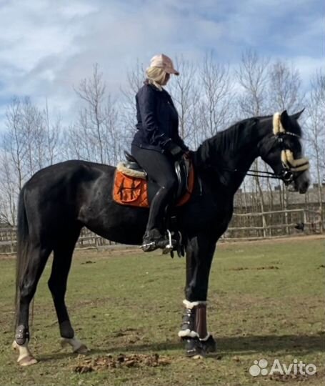 Кобыла в спорт