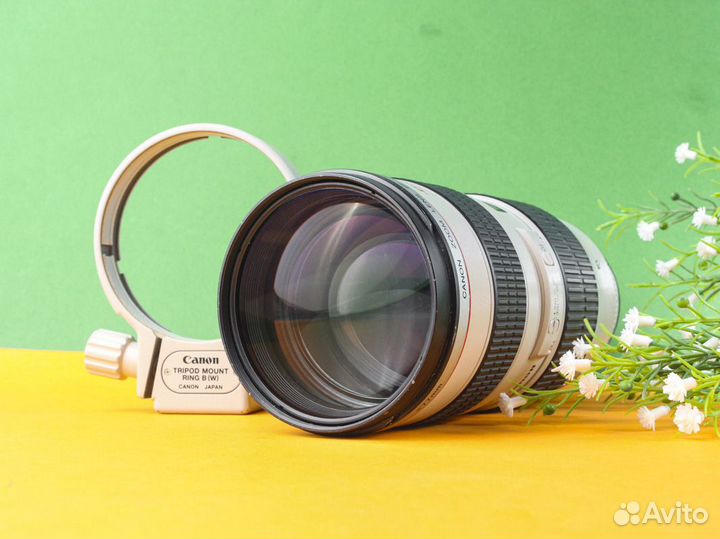 Объектив Canon EF 70-200mm f2.8 L USM