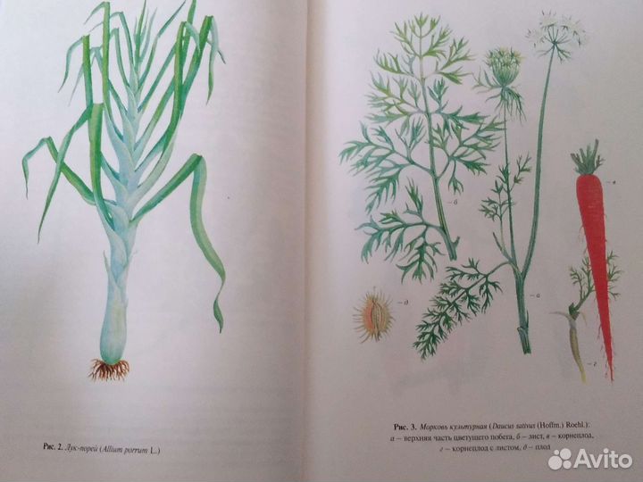 Полная энциклопедия народной медицины 3 том